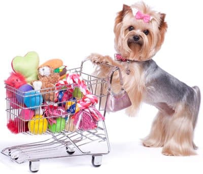 Pet Supplies for Dogs & Cats – All Your Pet Essentials