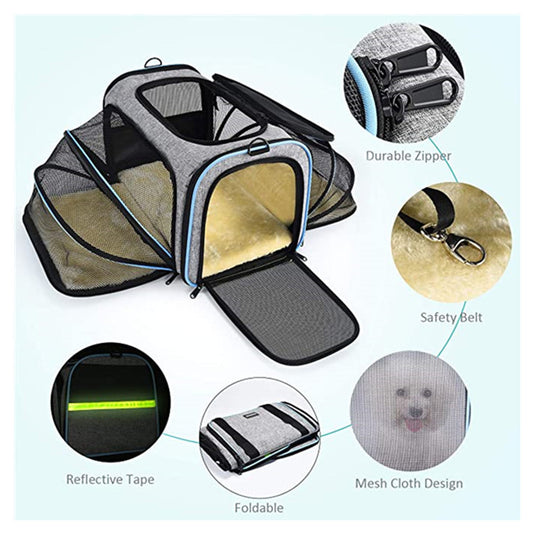 Pet carrier with features highlighted on a light blue background